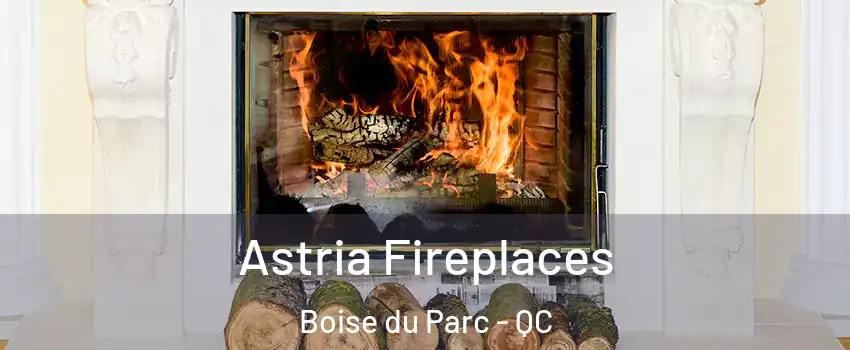  Astria Fireplaces Boise du Parc - QC
