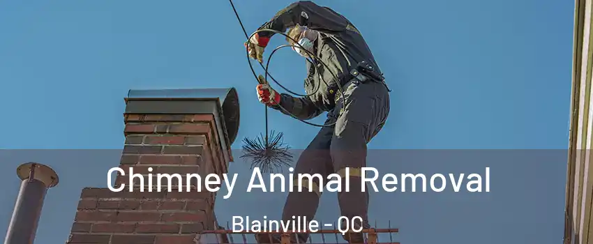 Chimney Animal Removal Blainville - QC