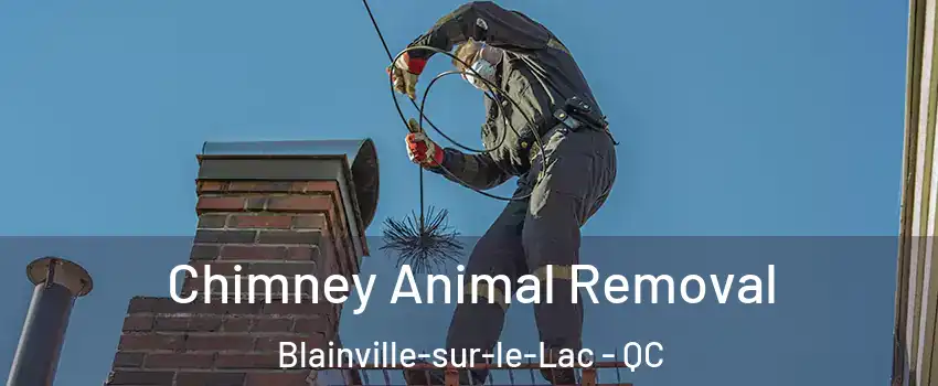  Chimney Animal Removal Blainville-sur-le-Lac - QC