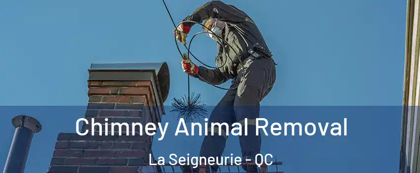 Chimney Animal Removal La Seigneurie - QC