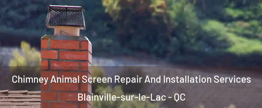  Chimney Animal Screen Repair And Installation Services Blainville-sur-le-Lac - QC