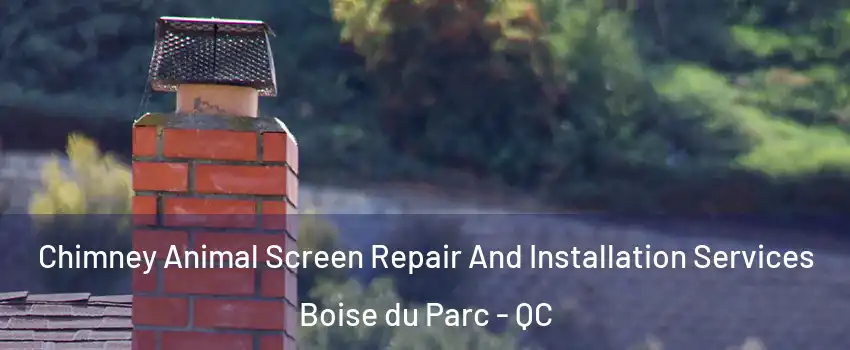  Chimney Animal Screen Repair And Installation Services Boise du Parc - QC