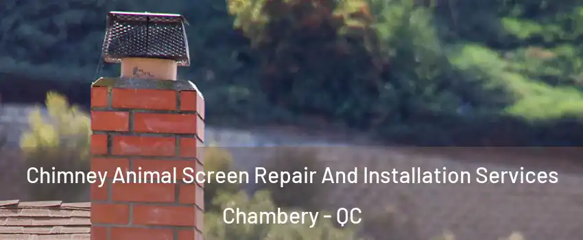  Chimney Animal Screen Repair And Installation Services Chambery - QC