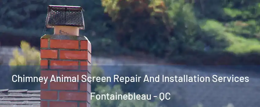  Chimney Animal Screen Repair And Installation Services Fontainebleau - QC