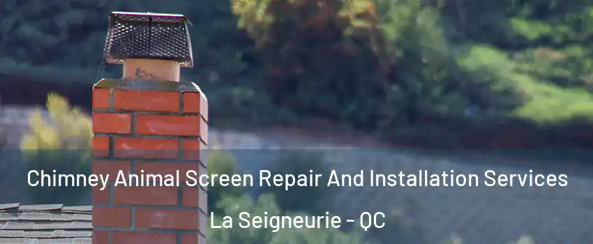  Chimney Animal Screen Repair And Installation Services La Seigneurie - QC