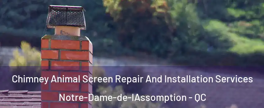  Chimney Animal Screen Repair And Installation Services Notre-Dame-de-lAssomption - QC