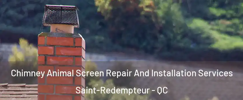  Chimney Animal Screen Repair And Installation Services Saint-Redempteur - QC