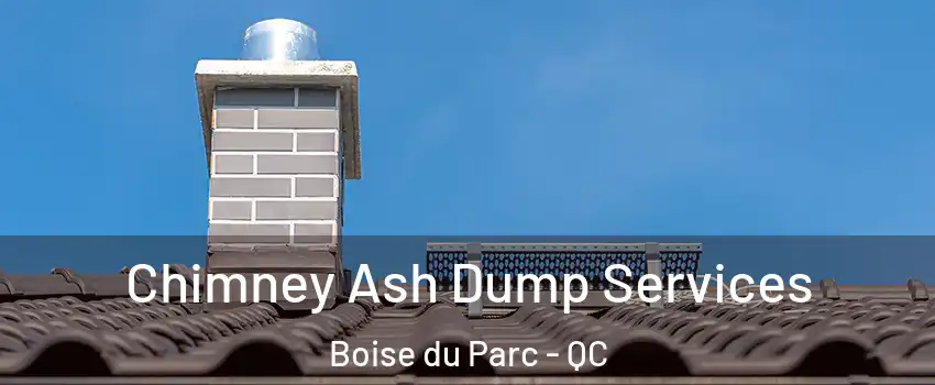 Chimney Ash Dump Services Boise du Parc - QC