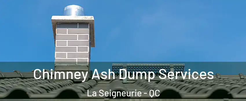  Chimney Ash Dump Services La Seigneurie - QC