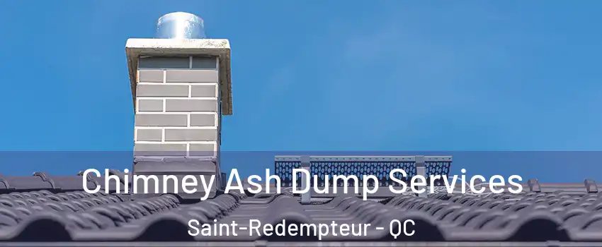  Chimney Ash Dump Services Saint-Redempteur - QC