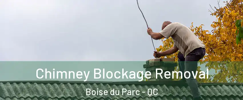  Chimney Blockage Removal Boise du Parc - QC