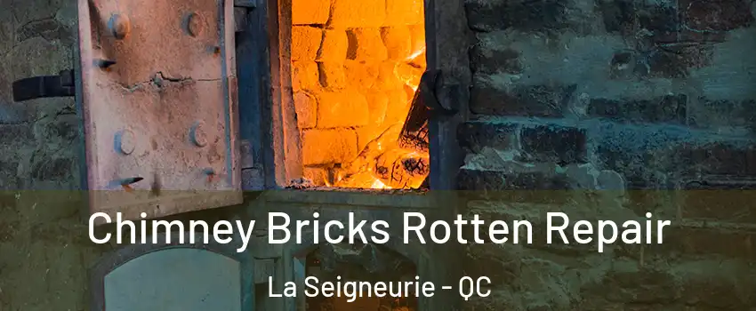  Chimney Bricks Rotten Repair La Seigneurie - QC
