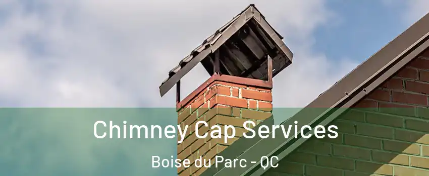  Chimney Cap Services Boise du Parc - QC