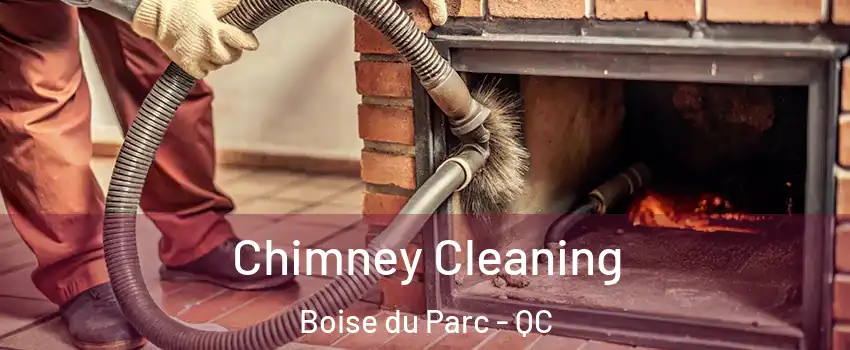  Chimney Cleaning Boise du Parc - QC