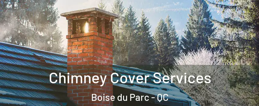  Chimney Cover Services Boise du Parc - QC