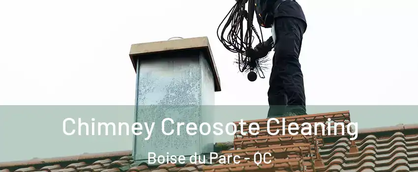  Chimney Creosote Cleaning Boise du Parc - QC