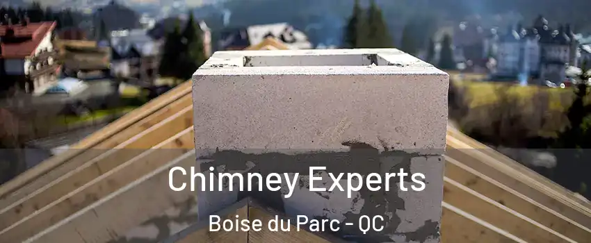 Chimney Experts Boise du Parc - QC
