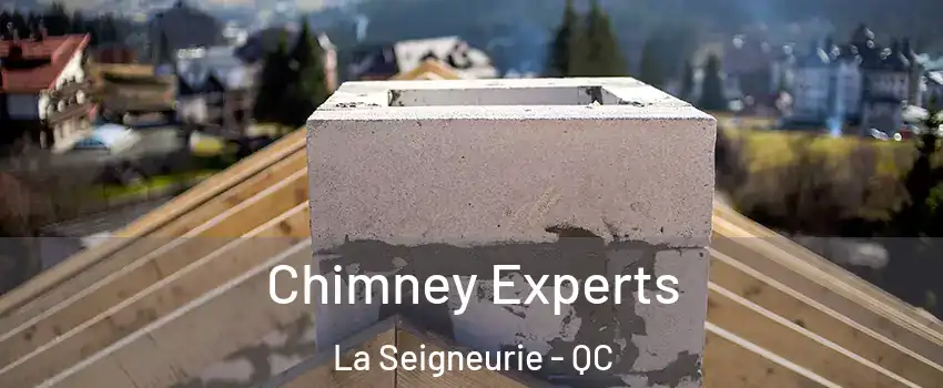 Chimney Experts La Seigneurie - QC