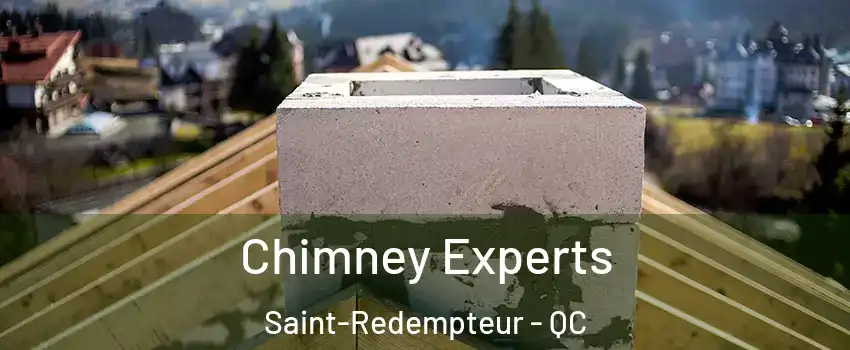 Chimney Experts Saint-Redempteur - QC