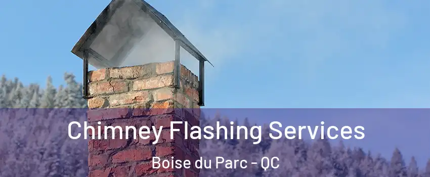 Chimney Flashing Services Boise du Parc - QC