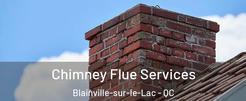  Chimney Flue Services Blainville-sur-le-Lac - QC