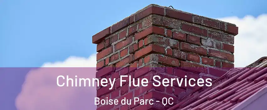  Chimney Flue Services Boise du Parc - QC