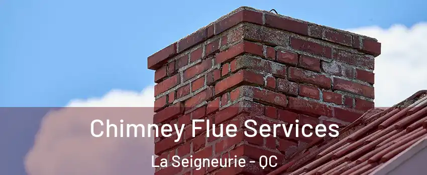  Chimney Flue Services La Seigneurie - QC