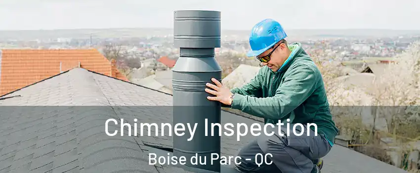  Chimney Inspection Boise du Parc - QC