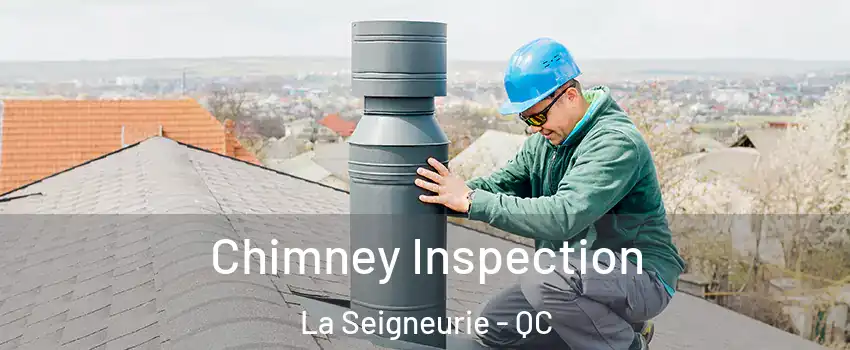  Chimney Inspection La Seigneurie - QC