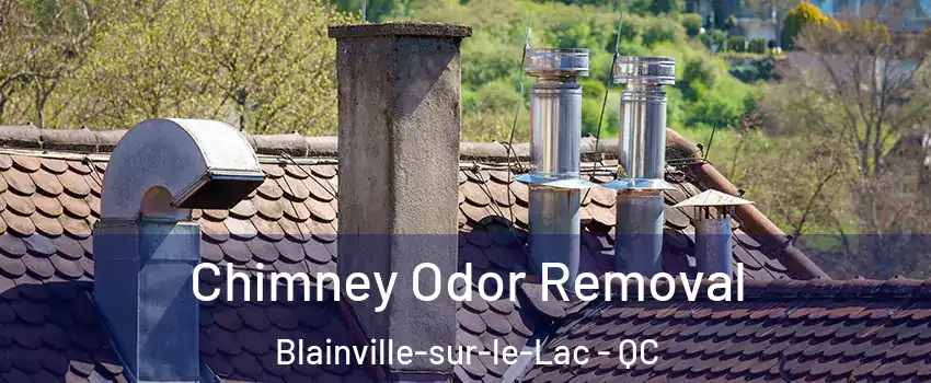  Chimney Odor Removal Blainville-sur-le-Lac - QC