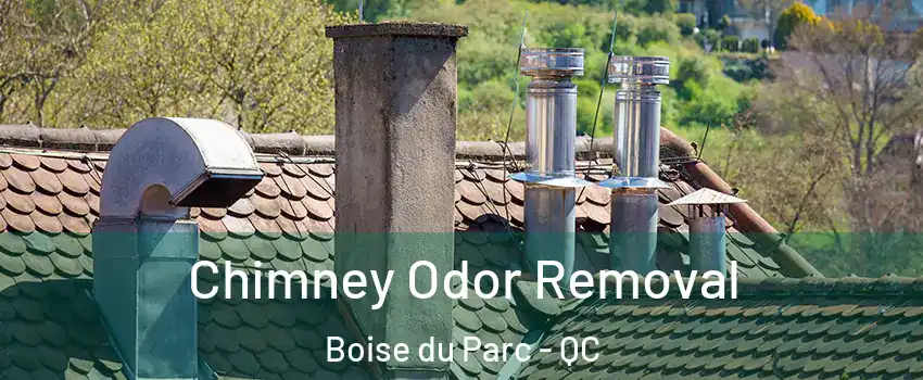  Chimney Odor Removal Boise du Parc - QC