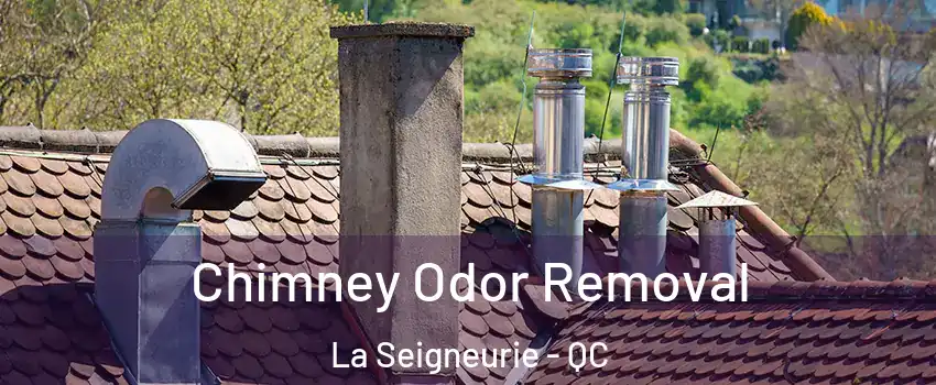  Chimney Odor Removal La Seigneurie - QC