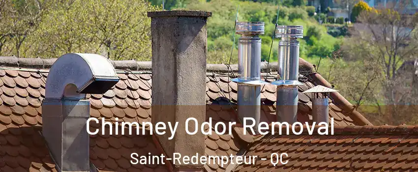  Chimney Odor Removal Saint-Redempteur - QC