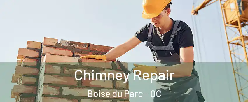  Chimney Repair Boise du Parc - QC