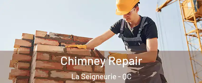  Chimney Repair La Seigneurie - QC