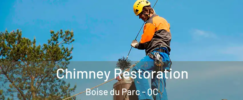  Chimney Restoration Boise du Parc - QC