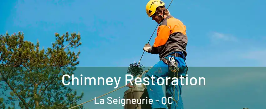  Chimney Restoration La Seigneurie - QC