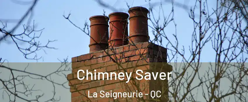  Chimney Saver La Seigneurie - QC