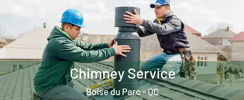  Chimney Service Boise du Parc - QC