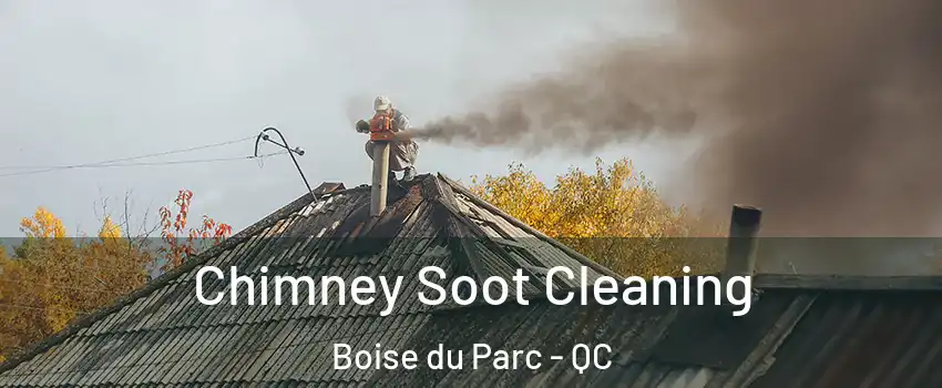  Chimney Soot Cleaning Boise du Parc - QC