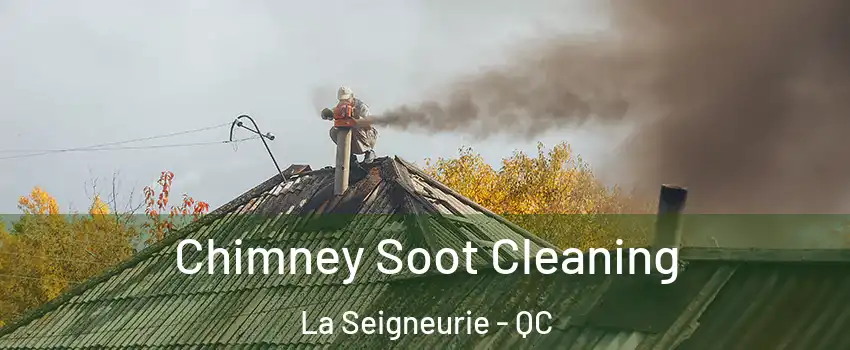  Chimney Soot Cleaning La Seigneurie - QC