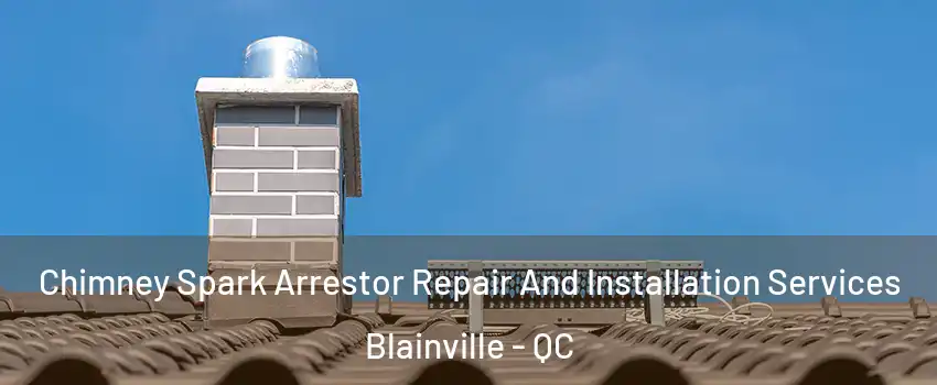  Chimney Spark Arrestor Repair And Installation Services Blainville - QC