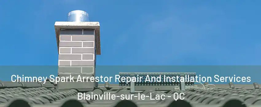  Chimney Spark Arrestor Repair And Installation Services Blainville-sur-le-Lac - QC