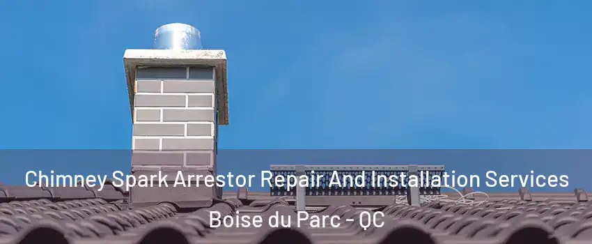  Chimney Spark Arrestor Repair And Installation Services Boise du Parc - QC