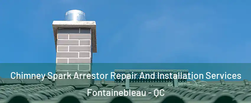  Chimney Spark Arrestor Repair And Installation Services Fontainebleau - QC