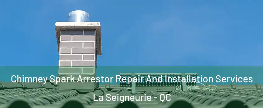  Chimney Spark Arrestor Repair And Installation Services La Seigneurie - QC