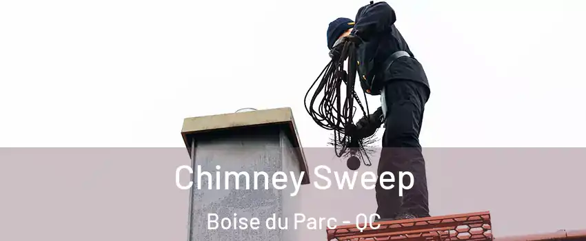  Chimney Sweep Boise du Parc - QC
