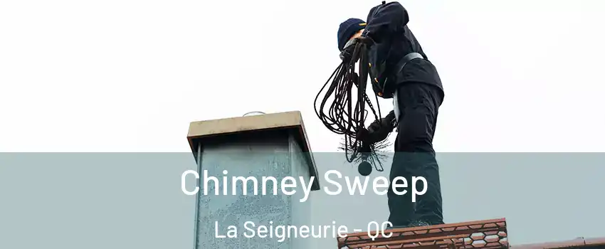  Chimney Sweep La Seigneurie - QC