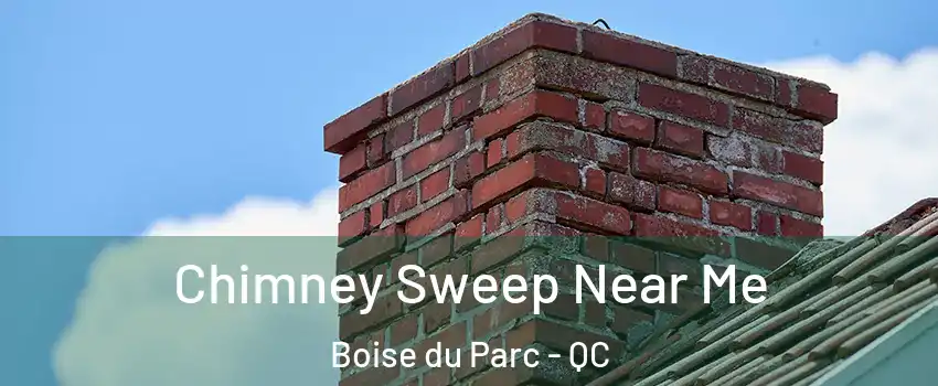  Chimney Sweep Near Me Boise du Parc - QC