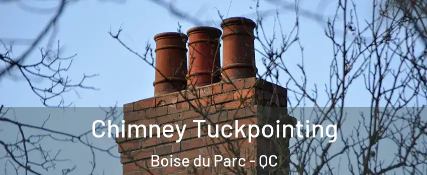  Chimney Tuckpointing Boise du Parc - QC